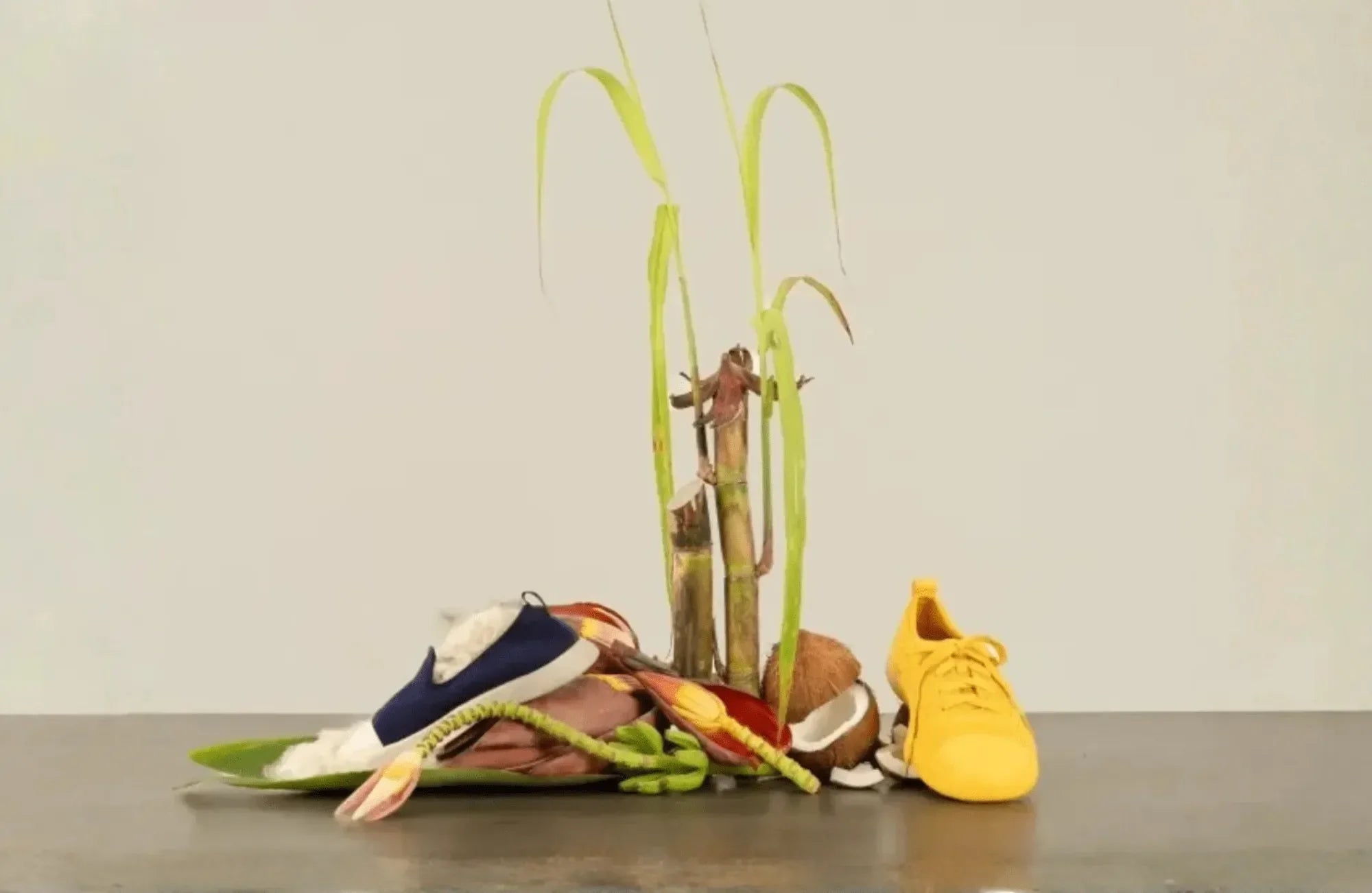 Juntos shoes around sugar cane