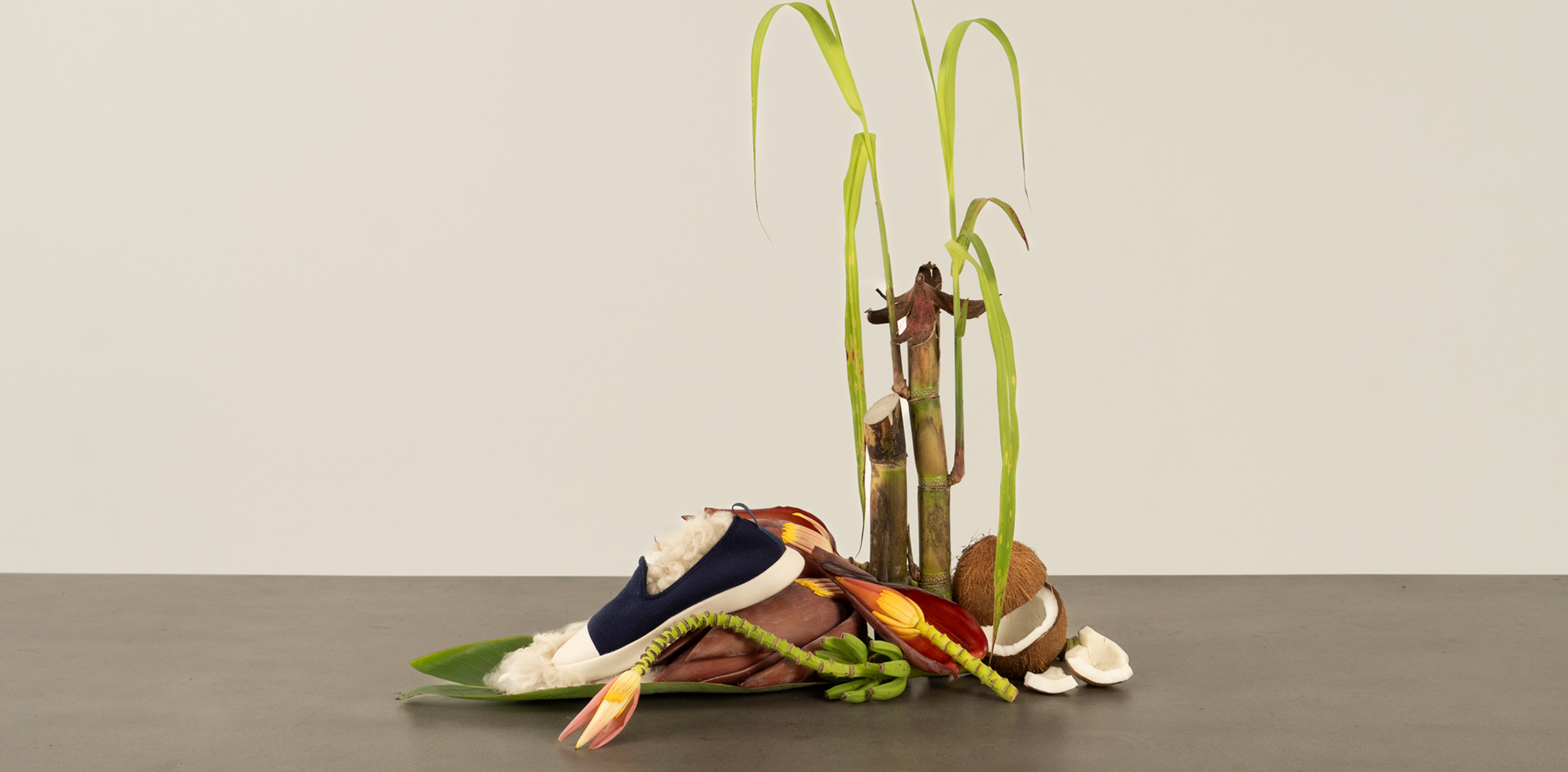 Sustainable Materials