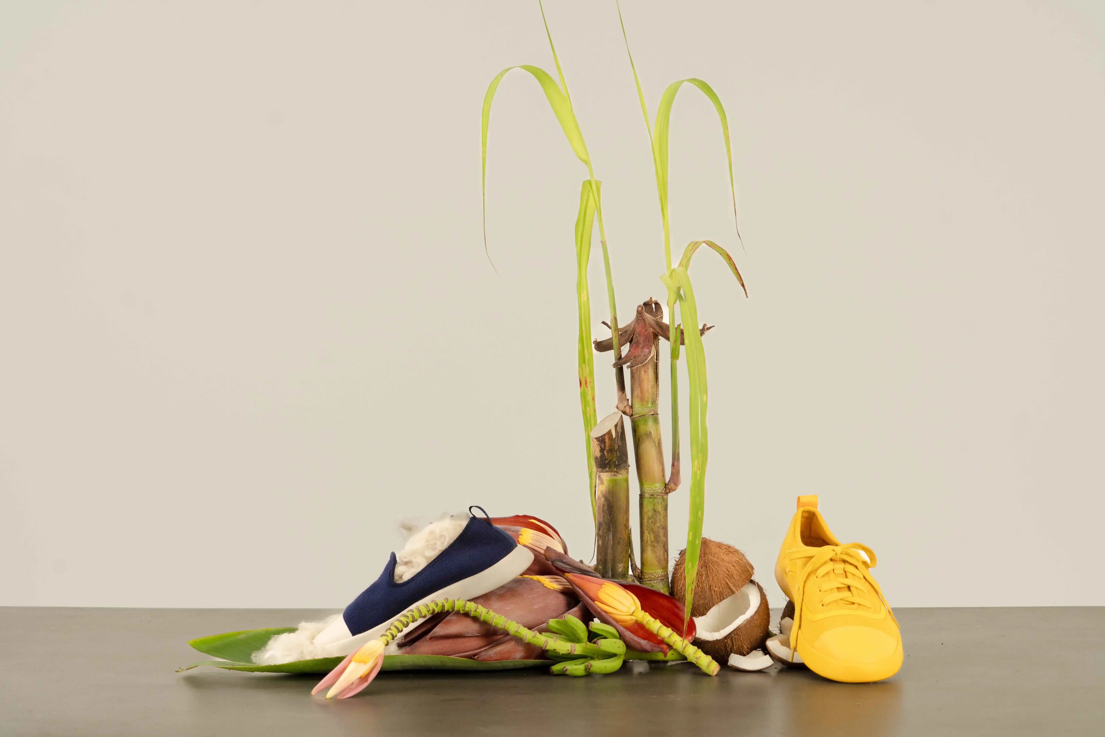 Colorful shoes and decorative elements on a neutral background